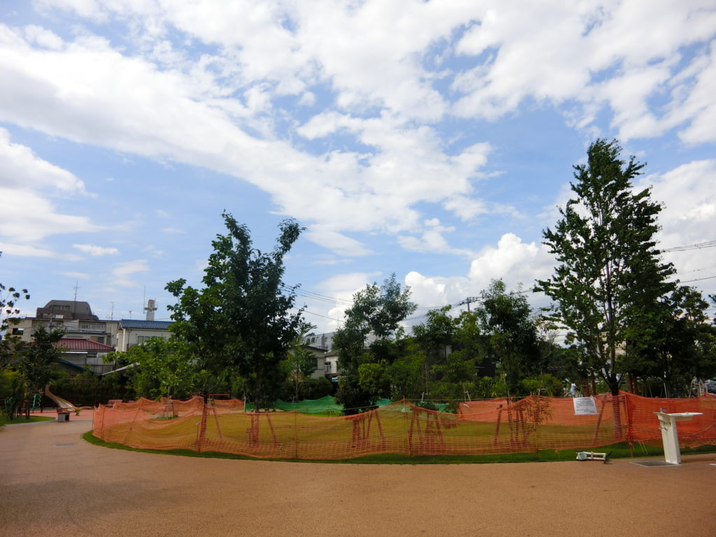 幡ヶ谷ひだまり公園 広い芝生とたくさんのベンチがある西新宿を臨む公園 しぶやの公園