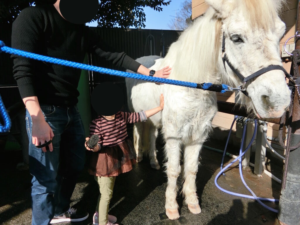 代々木ポニー公園 牧場の香り 本物のポニーと触れ合える都心の貴重な公園 しぶやの公園